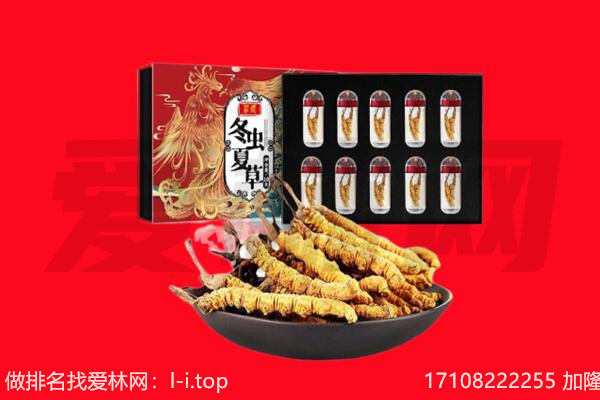 平凉灵台县回收虫草.jpg